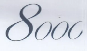 S000 trademark logo