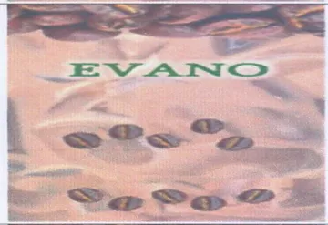 EvVAN اادج ونوك دنه trademark logo