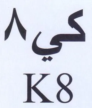 Ns K8 trademark logo