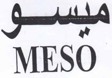 MESO trademark logo