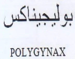 POLYGYNAX trademark logo