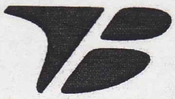 VY trademark logo