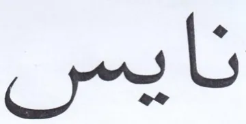 نايس trademark logo