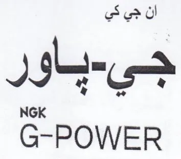 G-POWER ان جي كي جي