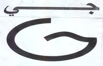 SS trademark logo