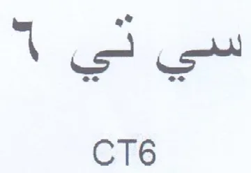 06 trademark logo