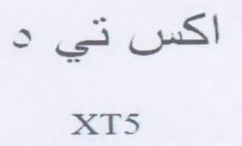 og ie XTS trademark logo