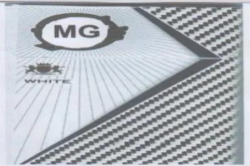 (figurative mark) trademark logo