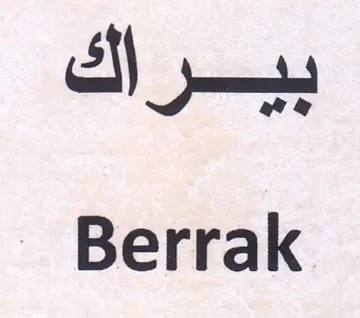 ai - Berrak trademark logo