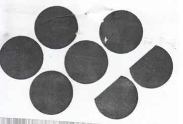 6.9 “9,0 trademark logo
