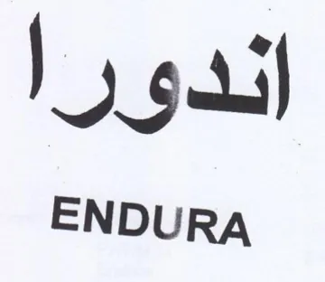 ENDURA اندورا