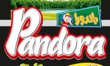 / اسم العلامة- (باندورا- pandora ) trademark logo