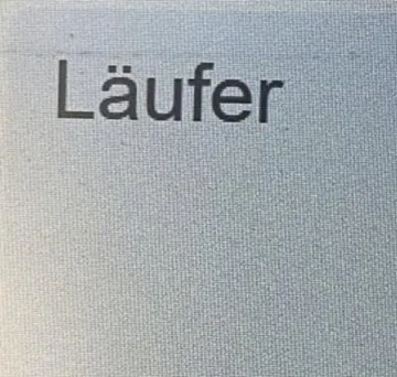 / اسم العلامة- ( Laufer ) trademark logo