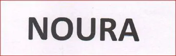 NOURA trademark logo