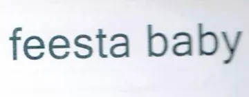 Feesta baby trademark logo