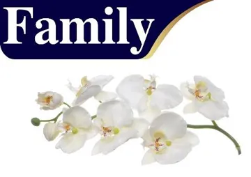Family مع شكل trademark logo