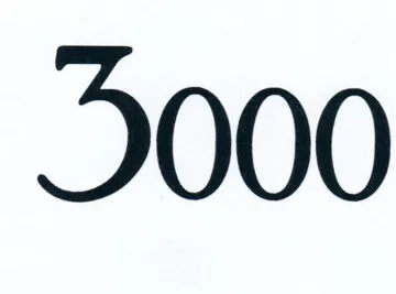 3000 trademark logo