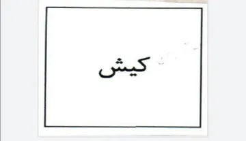 كيش trademark logo