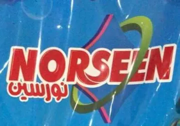 - NORSEEN نورسين trademark logo