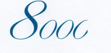 8000 trademark logo