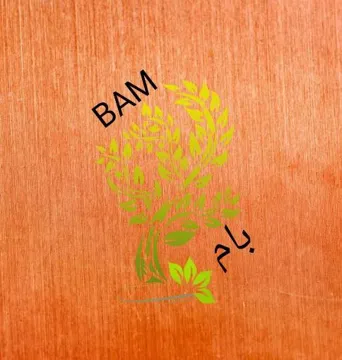 بام- BAM trademark logo