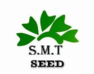 S.M.T. SEED مع شكل trademark logo