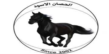 الحصان االسود