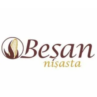 BESAN NISASTA trademark logo