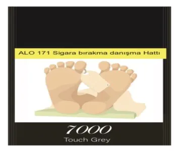 7000 trademark logo