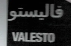 فاليستو VALESTO trademark logo