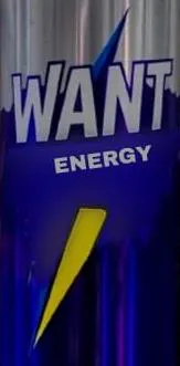 WANT ENERGY trademark logo