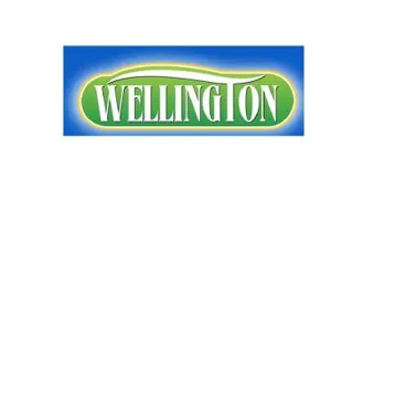 WELLINTON trademark logo