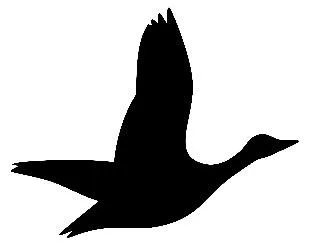 شكل trademark logo