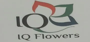 IQ Flowers trademark logo