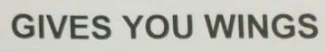 GIVES YOU WINGS trademark logo