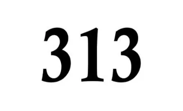 313 trademark logo