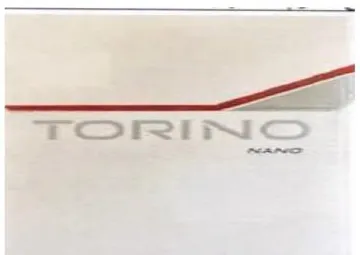 تورينو نانوTORINO NANO trademark logo