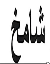 خ شام trademark logo