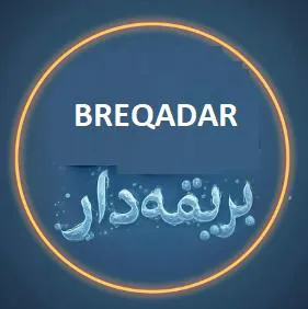 بر قي ە دار BREQADAR trademark logo