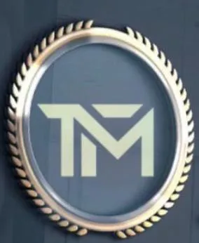 TM trademark logo