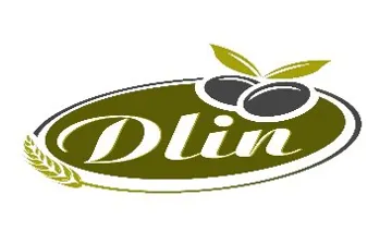 دلينDlin trademark logo